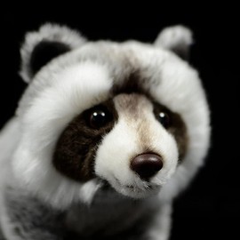 BABY FRANKIEZHOU - Peluche de mapache de simulación de 12 pulgadas de largo, lindo juguete de peluche suave de mapache para niños y niñas, juguete de peluche realista