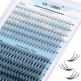 Cluster Lashes 280pcs Lash Clusters DIY Lash Extensions 10D/20D/30D/40D Individual Lashes C D Curl Wispy Lashes Individual Soft Natural Eyelash Extension at Home (10D+20D-0.07C, 8-16mm)