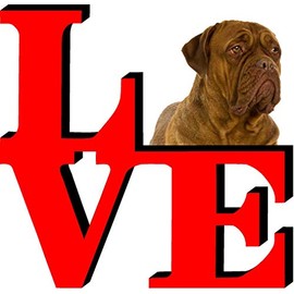 Dogues De Bordeaux Love Park Cute Dog Fridge Refrigerator Car Magnet