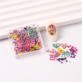 Flowers Nail Art Stickers 3D Colorful Dry Flower for Nails Mini Real Nail Flower Set for Women Girls Nail Decorations DIY Craft Accessories Summer Nails Design 1 Box