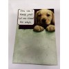 PCR greetings Very Cute Get Well Card Retail Value $3.49