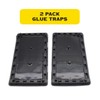 Pic GT2 Glue Rat Tray, 2-Pack