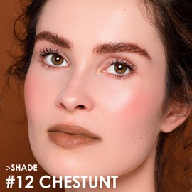 FOCALLURE Ultra Chic Matte Lipstick,Rich Vitamin E Lip Crayon,Lightweight Matte Color without Drying or Fading,Long Lasting Waterproof Lips Makeup,CHESTUNT