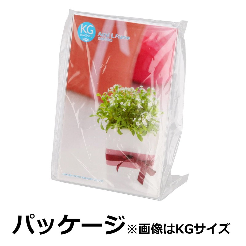 Hakuba FACL-KGT Picture Frame, Axle Frame, KG Size, Vertical