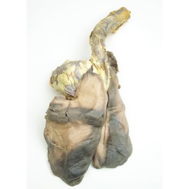 Anatomy Lab Sheep Pluck Preserved Specimen for Dissection, for Biology Classrooms, Education, and Medical Study