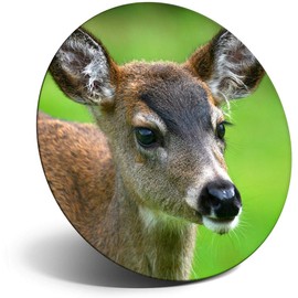 Destination Vinyl ltd Magnet for Refrigerator, Fridge - Cute Black Tailed Deer Fawn for Office, Cabinet and Whiteboard, Magnetic Stickers, 16396