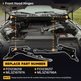 Hood Hinges Left Right Side Set of 2 Driver Side Passenger Side Fit for Ford F-150 F150 2021 2022 2023 2024 Front Hood Hinge Pair Replaces ML3Z16797A ML3Z16796A FO1236218 FO1236217 17207840