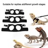 BOXOB 3pcs Bearded Dragon Harness & Leash Set, 3 Sizes