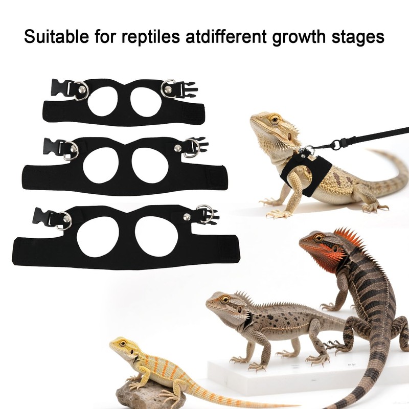 BOXOB 3pcs Bearded Dragon Harness & Leash Set, 3 Sizes
