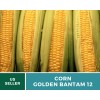 Southern Seeds Corn, Golden Bantam (12 Row) seeds - Heirloom
