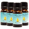 Clean™ Essential Oil Blend • 100% Pure & Natural •