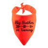 BLUPARK Funny Dog Bandana Big Brother in Training Triangle Printed