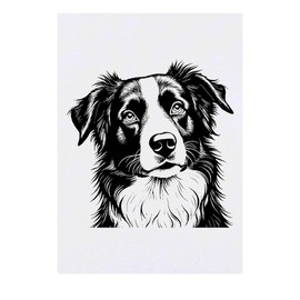 'Border Collie Portrait' Temporary Tattoo - Water Resistant, Skin-Safe, Non-Toxic Transfer (TO00080727)