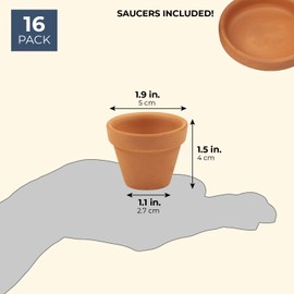 Mini Terra Cotta Pots for Propagation, Flower Pots for Plants with Saucers (1.9 x 1.5 in, 16 Pack)