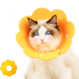 Pet collar Cat rehabilitation soft collar used to prevent cats from biting and licking injured or surgical sites Rehabilitation collar (Yellow, M)