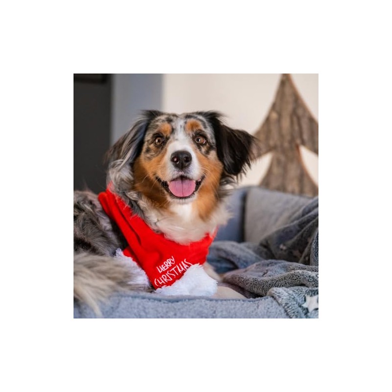 Nobby Xmas 65635 Scarf M: 70 x 7 cm