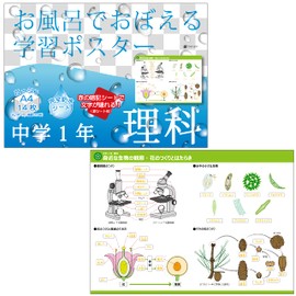 Gakupo Learning Posters to Remember in the Bath, Science 1st Year (Includes Memorization Sheet), A4 Posters, Set of 14, Middle School, 1 Year, Waterproof, Biology, Science, Geology, Physics, Taking