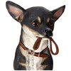 Lesser & Pavey LP41667 Sitting Walkies Black Chihuahua, h19cm