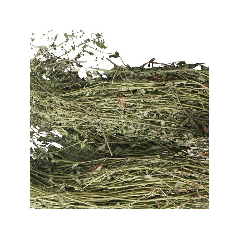 Donguihanjae 동의한재 국산 햇 비단풀 땅빈대 300g Korean Domestic Fresh