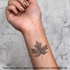 4 x 'Maple Leaf' Temporary Tattoos - Water Resistant, Skin-Safe,