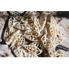 10pc Natural Cerithium Vertagus Seashells, Sliced Cut, 1.5-2 inch, White