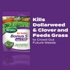 Scotts Turf Builder Bonus S Southern Weed & Feed2 -