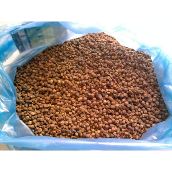 463g / 1 pound Bees Bread (Perga, Bienenbrot, Ambrosia) 2022