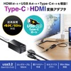 Sanwa Supply USB to 3TCH35BK HDMI Converter Adapter with USB