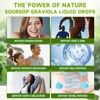 Soursop Graviola Liquid Drops - 2000mg Pure Soursop Extract Blended