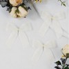 JaoZuyard Ivory White Organza Chiffon Ribbon 1 inch X 50