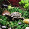 EMiEN 1pcs Resin Cute Simulated Turtle Sea Turtle Miniature Figurine