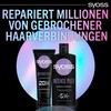Syoss Shampoo Intense Plex (440 ml), Haarshampoo für stark geschädigtes