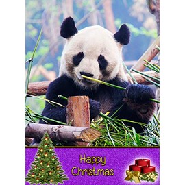 Panda Christmas Card 'Happy Christmas' - Special Xmas Card for Him Her Kids Male Female