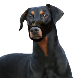 Flamingo Nylon Muzzle for Dogs 39-51cm Size XS (15cm)