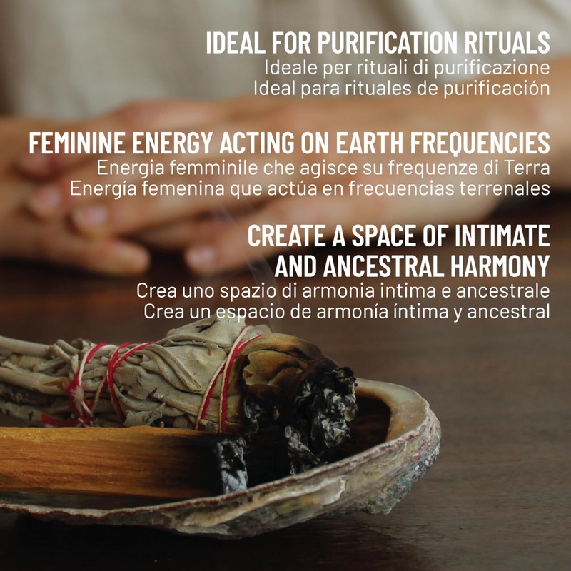 PALOSANTO - White Sage Smudge Stick - White Sage Incense