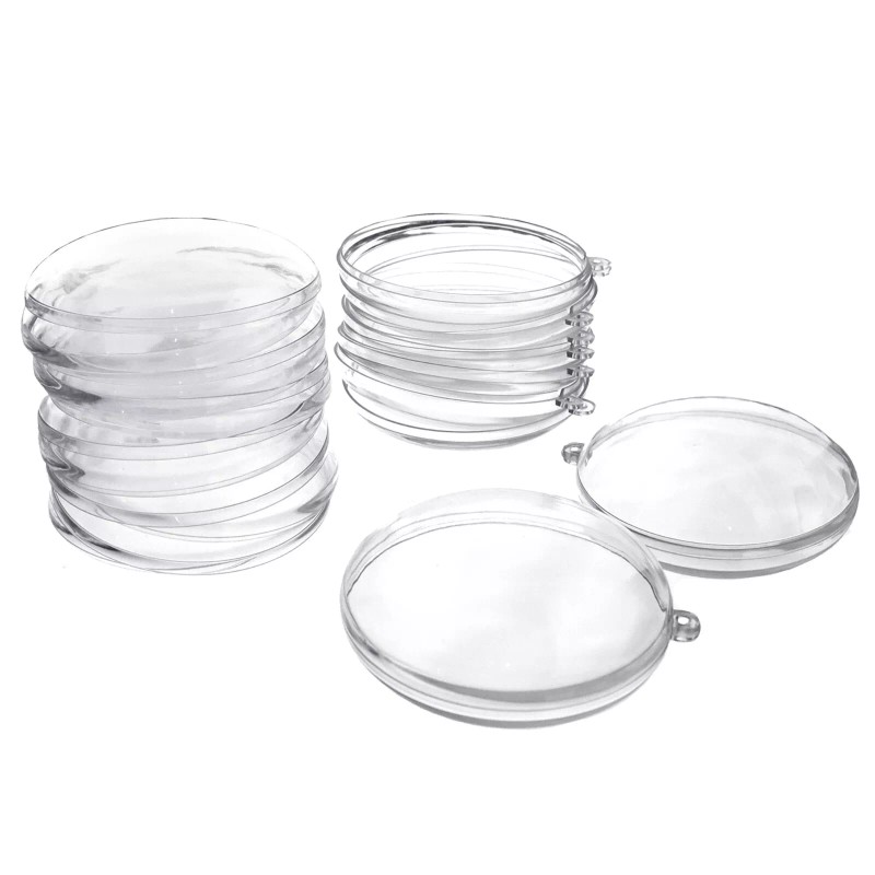 Homeford ESC08 Fillable Plastic Clear Oval Ornament, 4-1/4-inch, 12-count