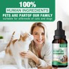 Omega Oil for Dogs Rich in Omega 3-6-9 0715-A018（Guava）