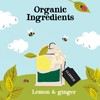 Clipper Lemon & Ginger Tea, 20 Bags
