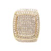 Charles Raymond Bling Bling Hip Hop Iced Out Luxury BIG