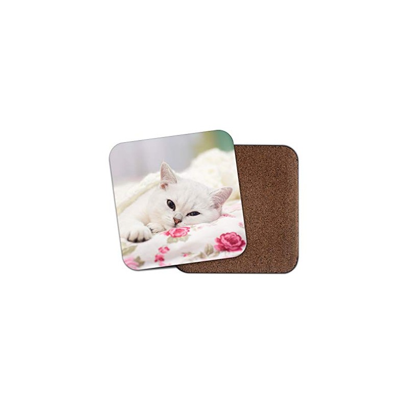 1 x Adorable White Cat Coaster - Kitten Pretty Girls