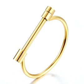 UAIAGM Screw Bracelet for Women Men Stylish Titanium Steel D Shape Bar Screw and Shackle Cuff Bangle BraceletLove Screwball Bar Bracelets in Unisex Design (Gold)