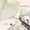Carols Daughter Black Vanilla Moisture & Shine Hydrating Conditioner, 1