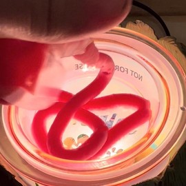 Squeeze wax melts squeezable soy wax melts:_Strawberry cookie 