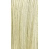 It's a Wig Synthetic HD Lace Crimped Wig - MEGA