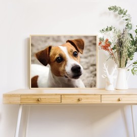 DVWIVGY 5D Dog Jack Russell Terrier Diamond Painting by Number Kits, Animal Dog Cross Stitch DIY Paint with Full Drill Round Diamond Art Embroidery Kits Wall Decoration Festival Gift 12x16 inch