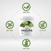 Organic Matcha Green Tea Powder, 2 lb (907g) | First