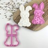 LissieLou Easter Rabbit Cookie Cutter and Stamp Easter Icing Stamp