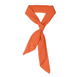 Rajputana Costume Chiffon Scarf Ribbon Neck Scarf 23.5"x23.5" 27.5"x27.5" 30"x30" Square Solid Accessories for Costume Orange