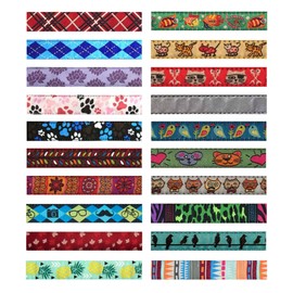 RC Pets Kitty Breakaway Cat Collar, Pineapple Parade