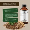 Caraway Seed Essential Oil | 4 Fl Oz | Carum